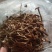 古田5号茶树菇不开伞量大运费商议请按购买数量拍否则不发货