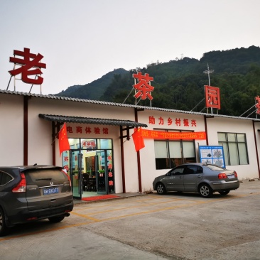 英红九号红茶，可代工生产