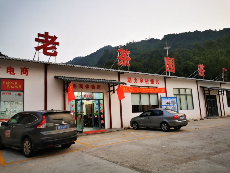 英红九号红茶，可代工生产