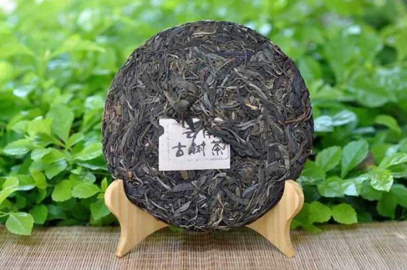 普洱茶生茶易武古树茶357克