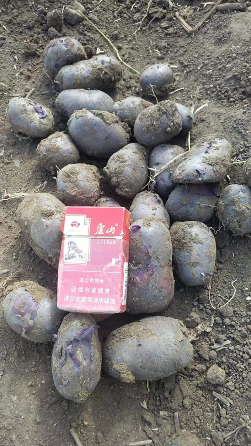 价格优惠，最后三车，先到先得