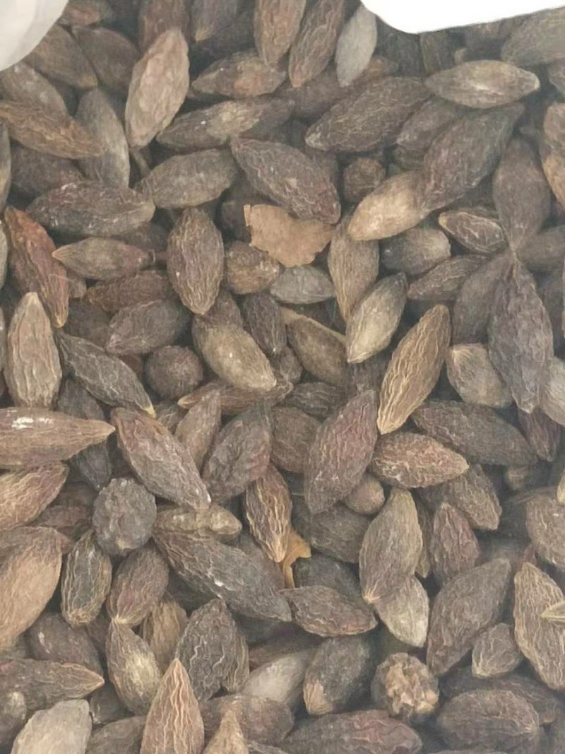 干橄榄大量现货供应质量好一手货源，量大优惠欢迎咨询