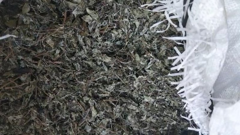 野生藤茶霉茶干货12元一斤