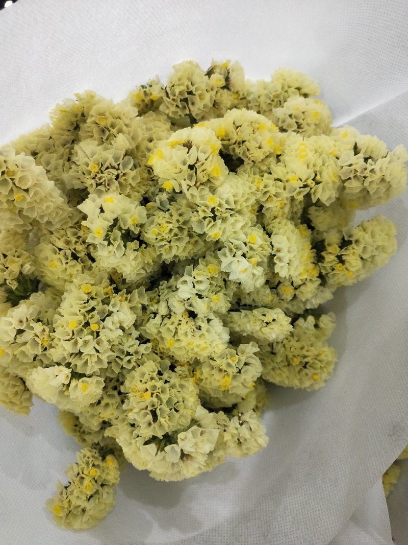勿忘我，情人草拼装小花束