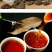 云南普洱茶熟茶老茶头