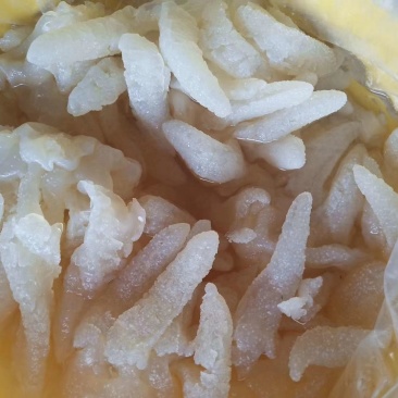 批发各种海蜇
