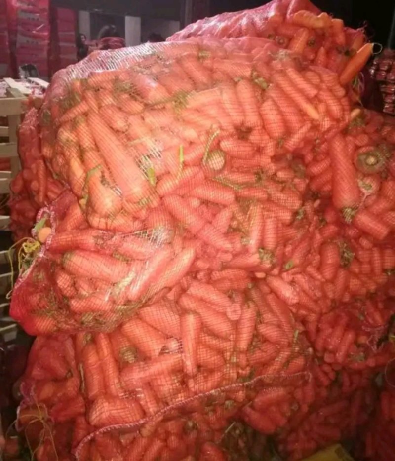 胡萝卜次品加工厂货，质量保证可水洗，大量供应