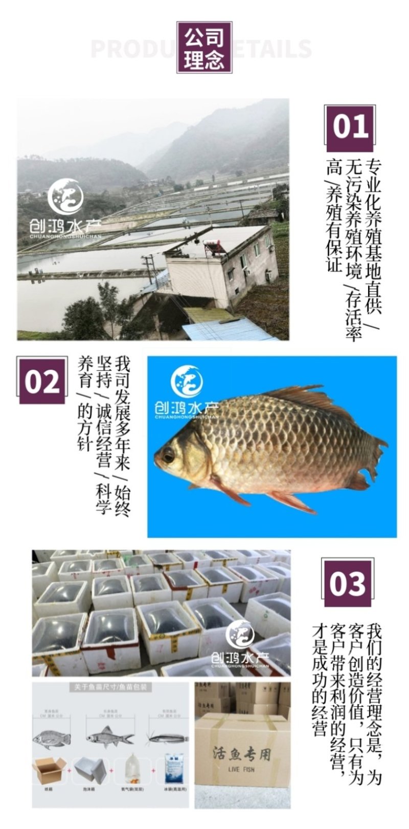 【特价销售】鲫鱼鱼苗中科三号鲫鱼苗白鲫鱼苗东北鲫