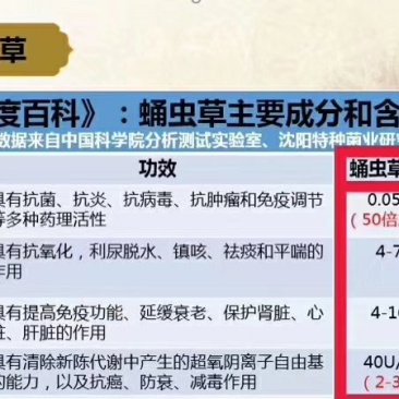 蛹虫草