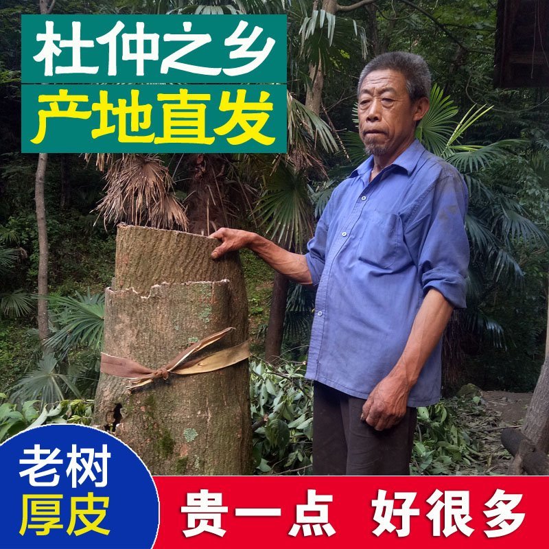 杜仲无硫净货杜仲带皮和刮皮规格齐全货干可供大货