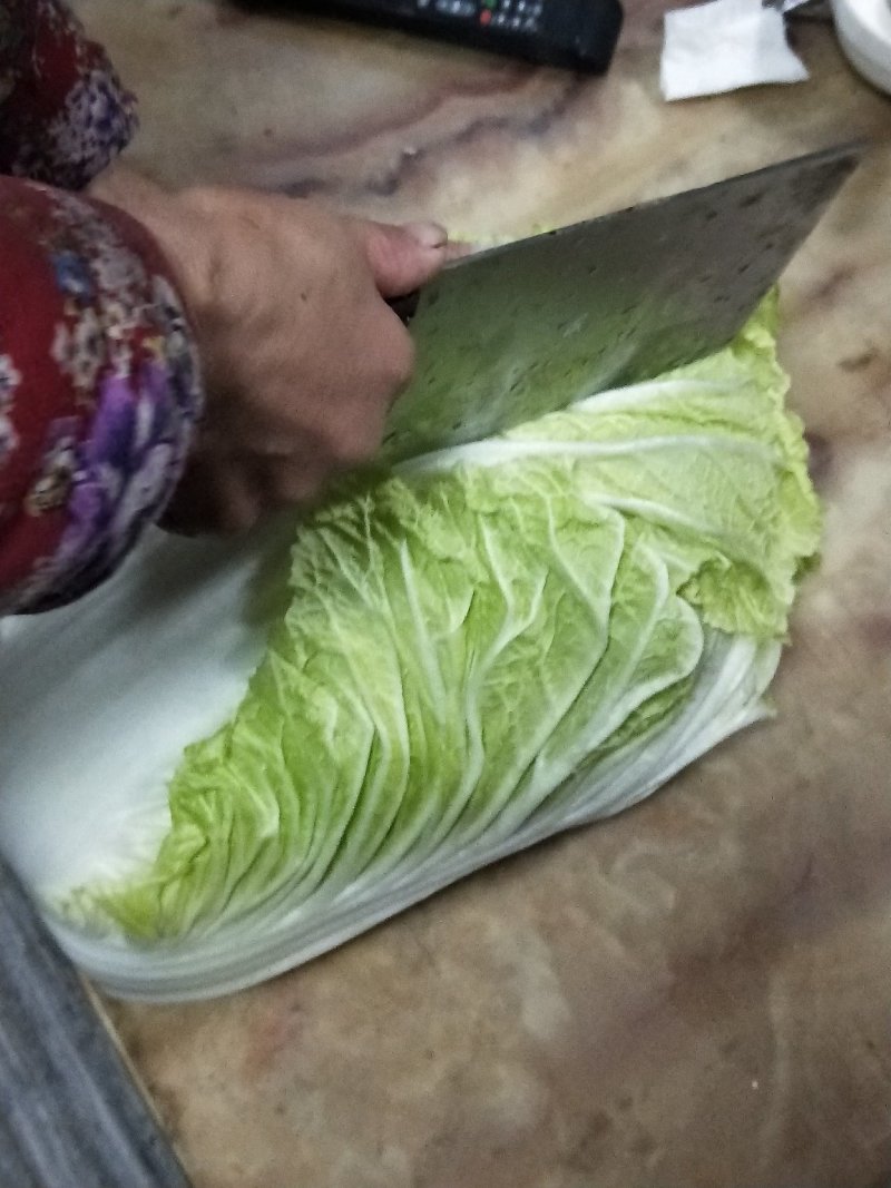 自家种的白菜