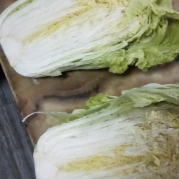 自家种的白菜