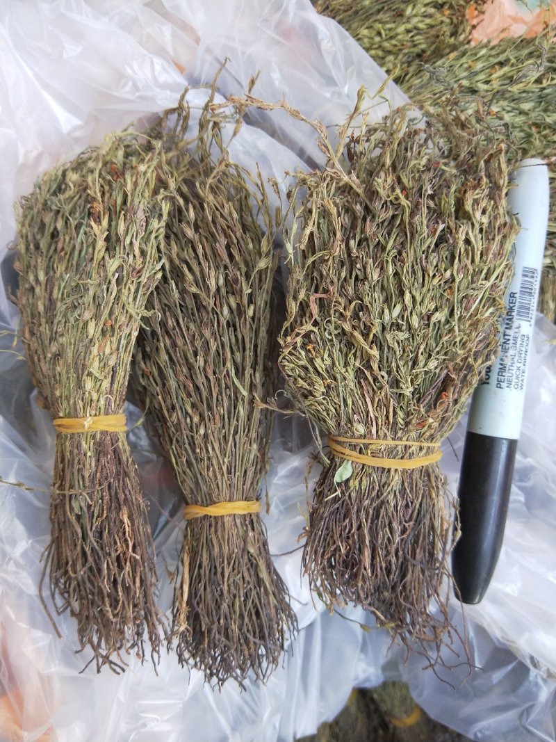新到独脚金价格优惠，需要联系