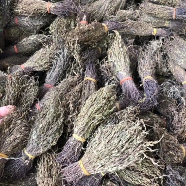 新到独脚金价格优惠，需要联系
