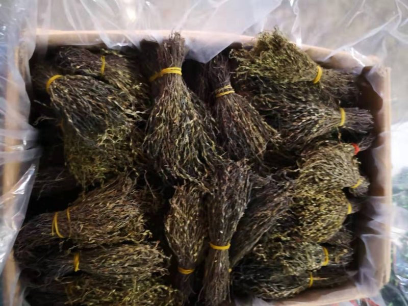 新到独脚金价格优惠，需要联系