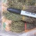新到独脚金价格优惠，需要联系