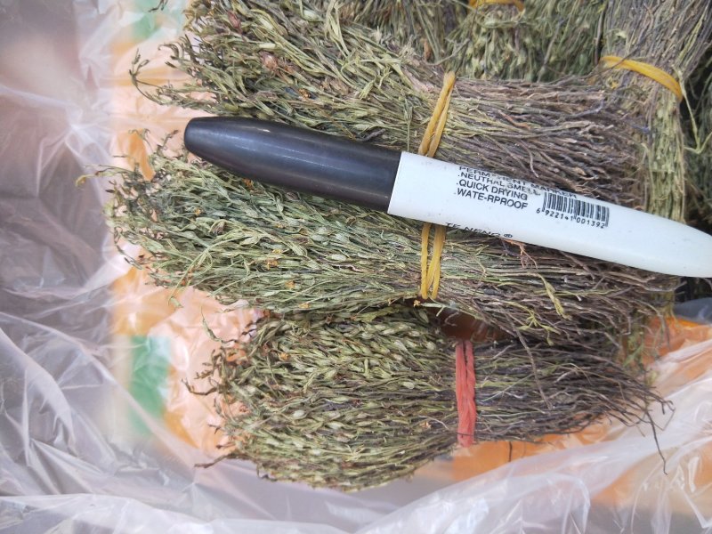 新到独脚金价格优惠，需要联系