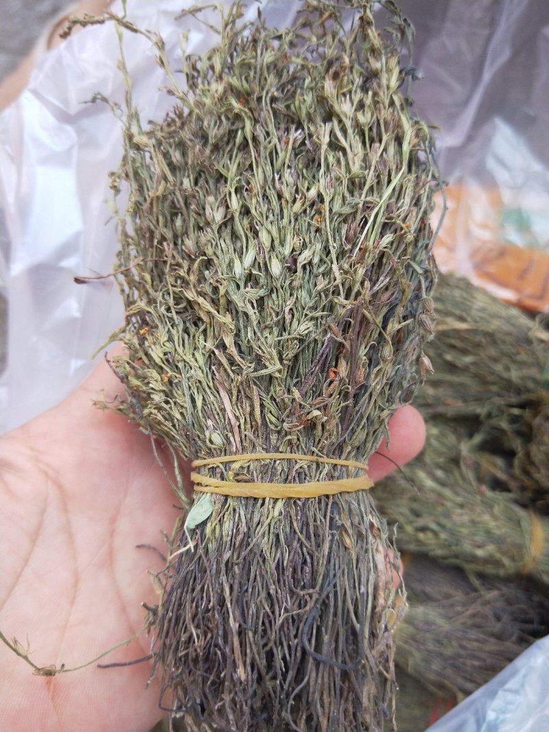 新到独脚金价格优惠，需要联系