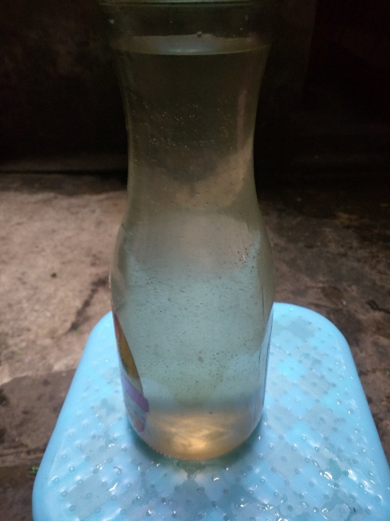 贵州纯手工米酒