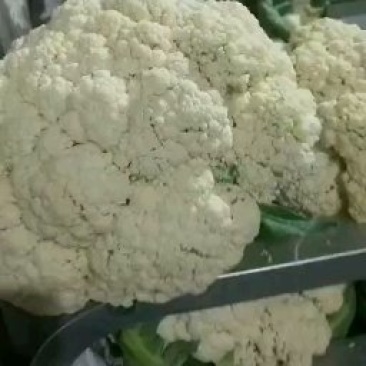 万亩大棚有机花菜基地，支持各种包装，代发全国各地