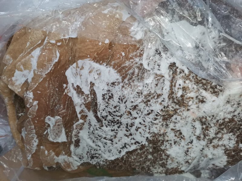 长年批发零售，内蒙古锡林浩特牛毛肚，联系时请说是在一亩田