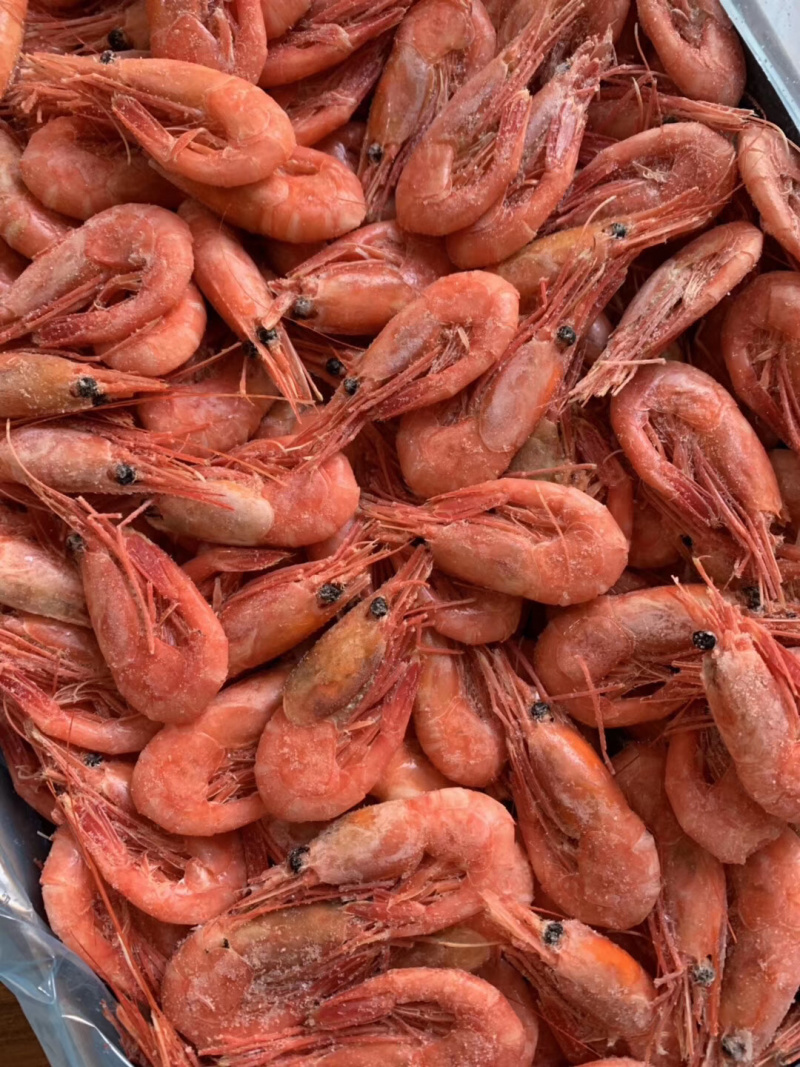 北极熊头籽北极虾80-1202019年新虾