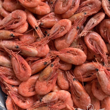 北极熊头籽北极虾80-1202019年新虾