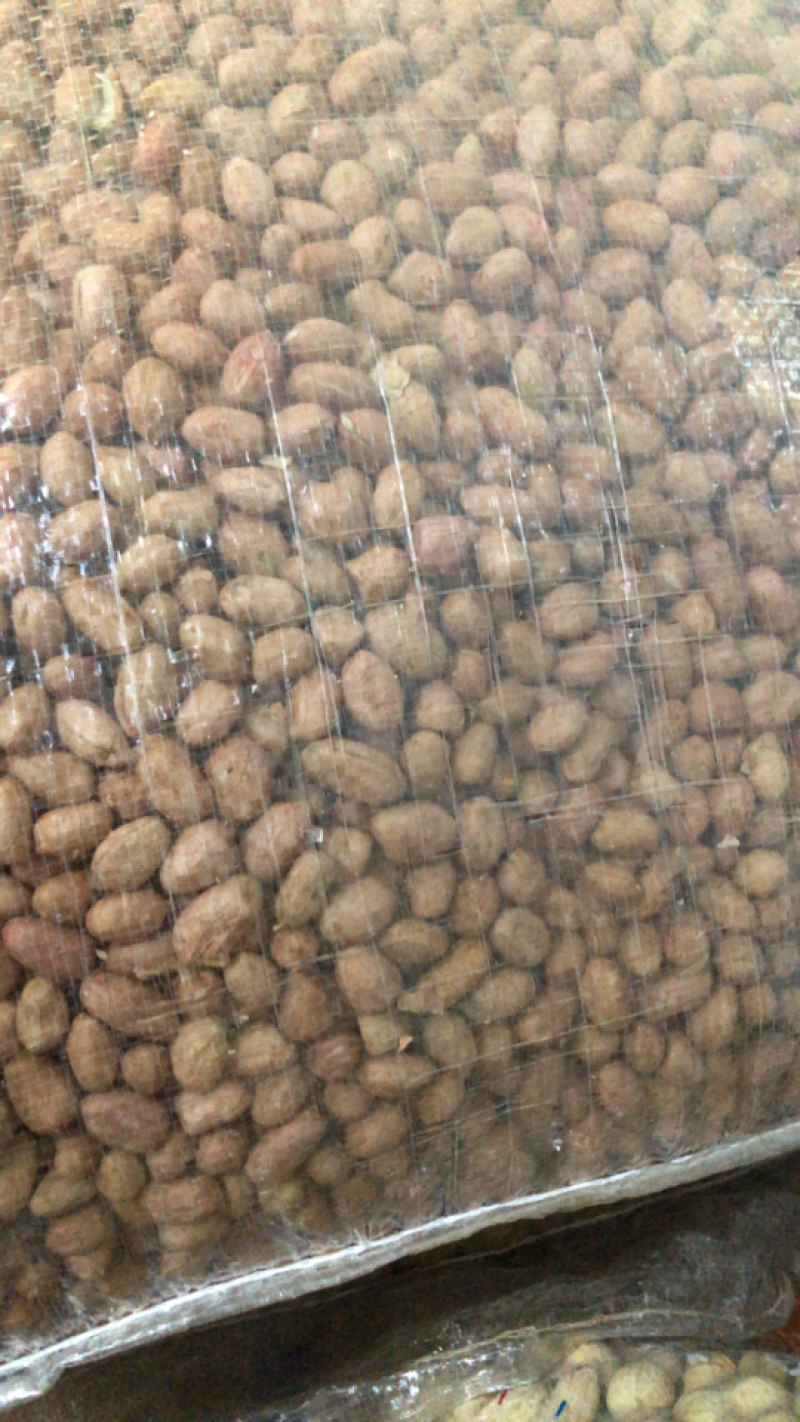 白沙系列花生米精选八个筛