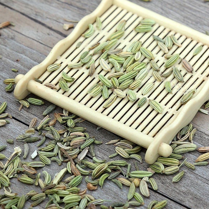 小茴香新货全干小茴香可供实体店批发零售量大从优