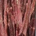 牛肉干