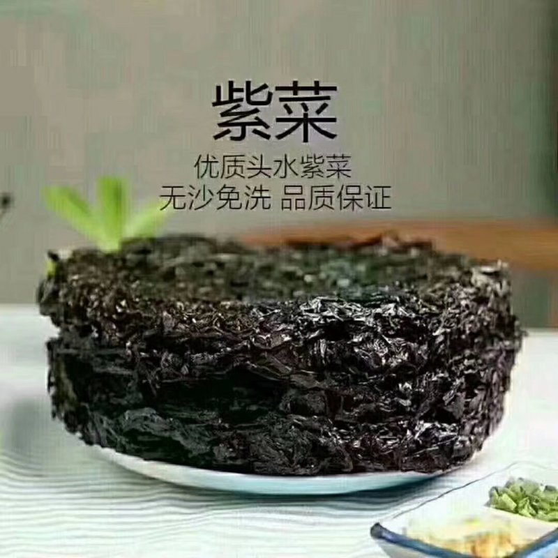 火山岛紫菜