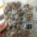 沙蚬子，吐沙真空包装，一箱二十袋，31/40规格。