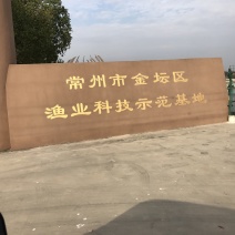 太湖水系大闸蟹上市了