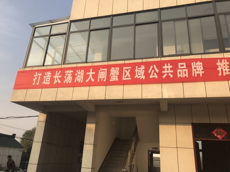 太湖水系大闸蟹上市了