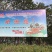 太湖水系大闸蟹上市了