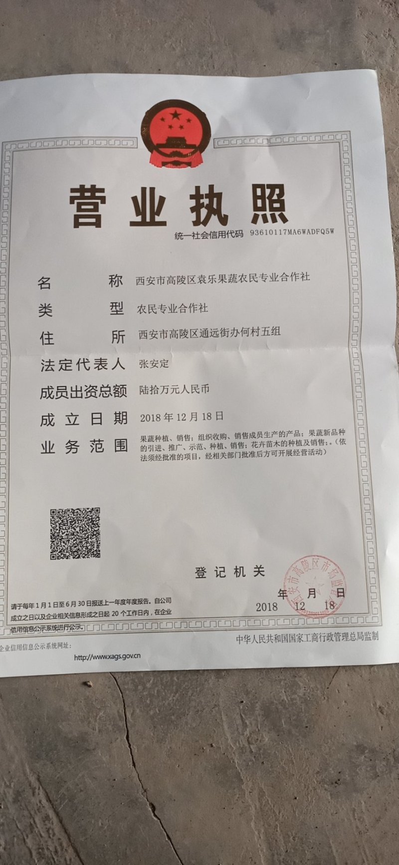 万亩大棚温室芹菜上市中.欢迎全国各地的朋友订购