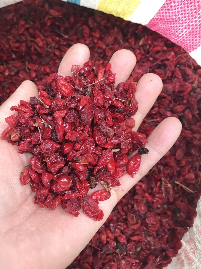 河南山萸肉枣皮山茱萸干净无杂无硫药材泡茶