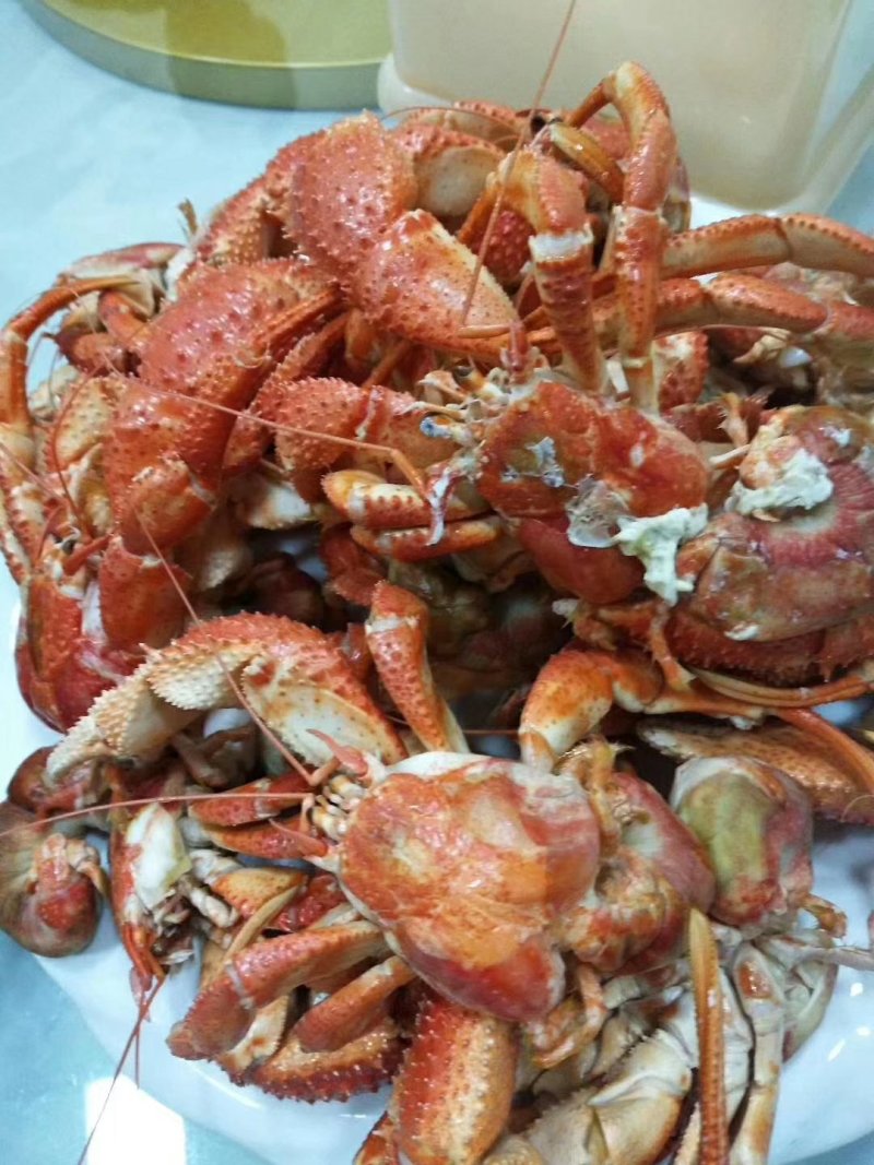 海怪，寄居蟹，虾怪！一种味道独特浓郁的海鲜，味道鲜香！