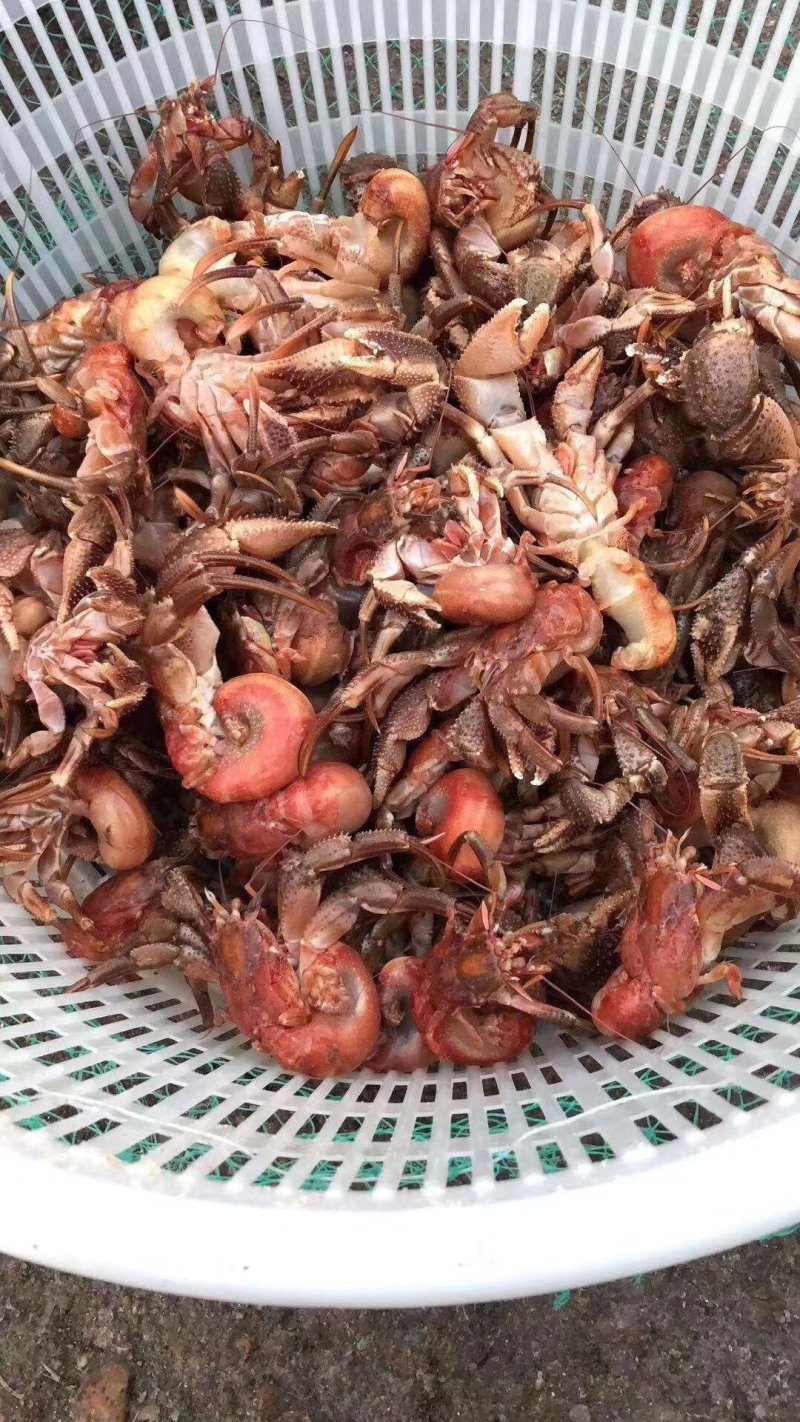 海怪，寄居蟹，虾怪！一种味道独特浓郁的海鲜，味道鲜香！