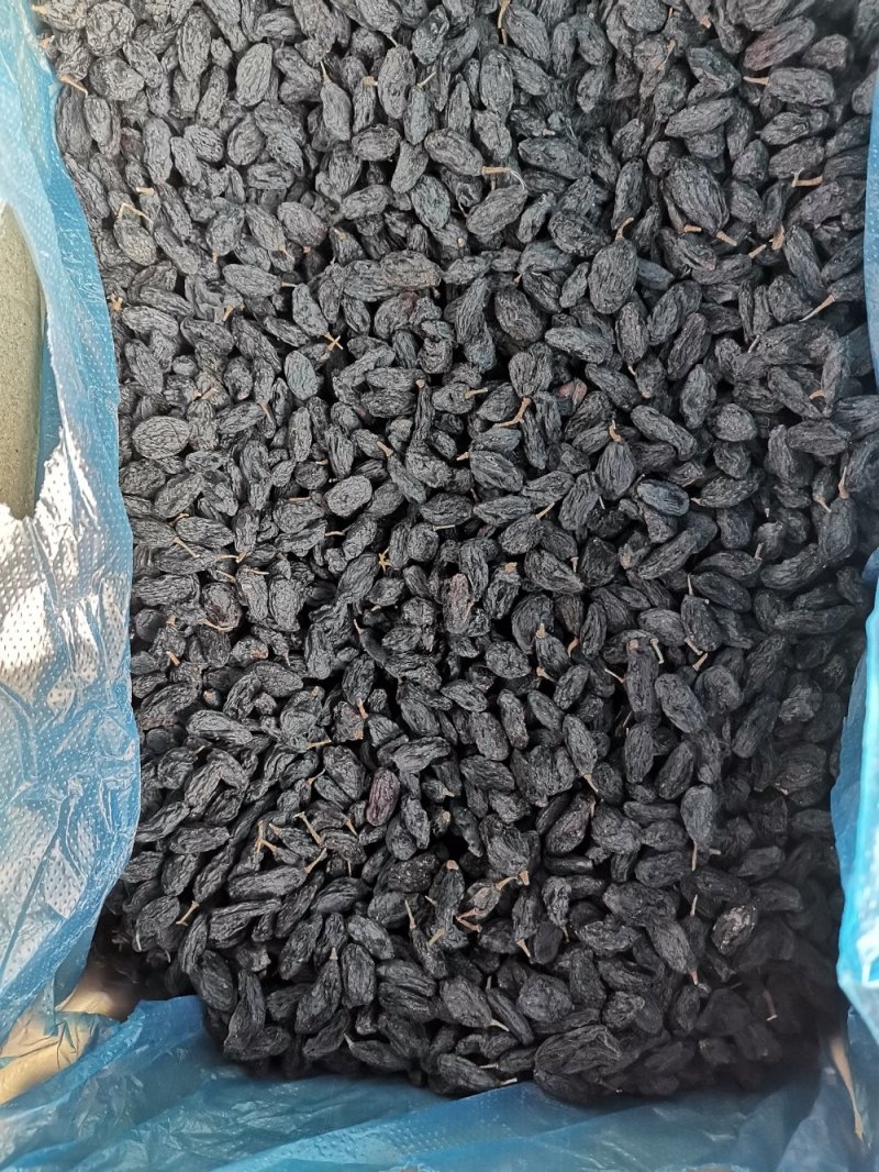 《包邮》进口黑加仑葡萄干