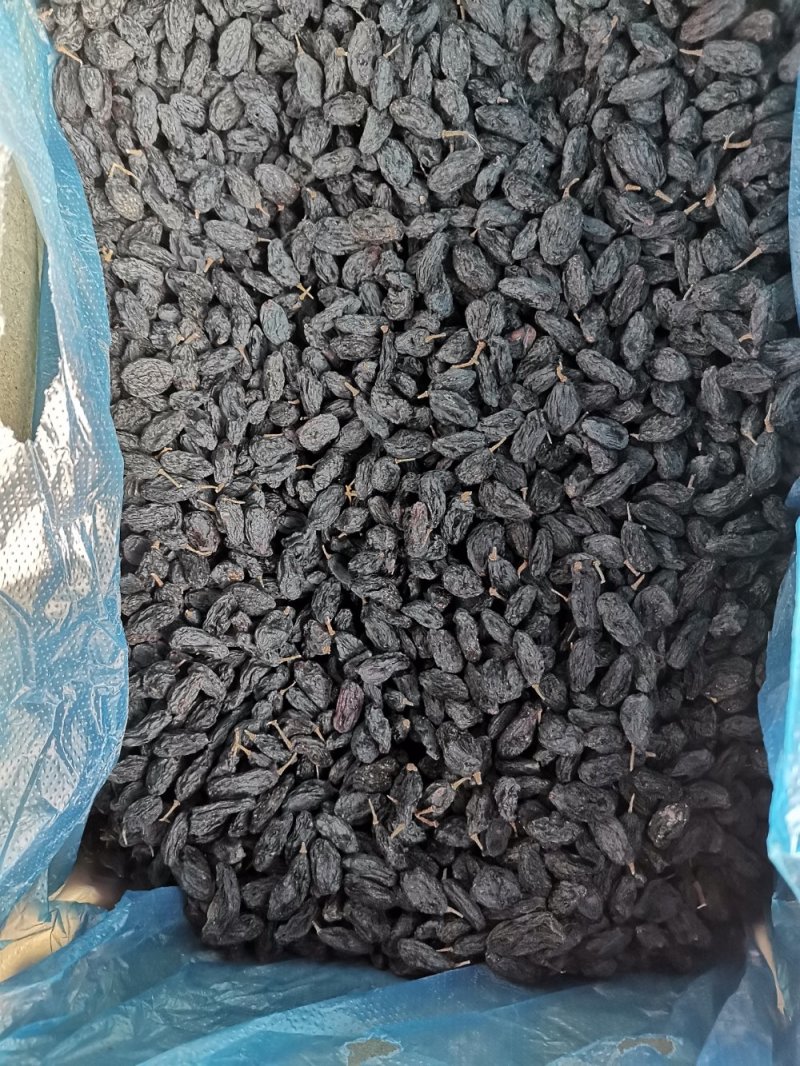 《包邮》进口黑加仑葡萄干