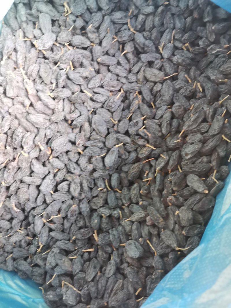 《包邮》进口黑加仑葡萄干