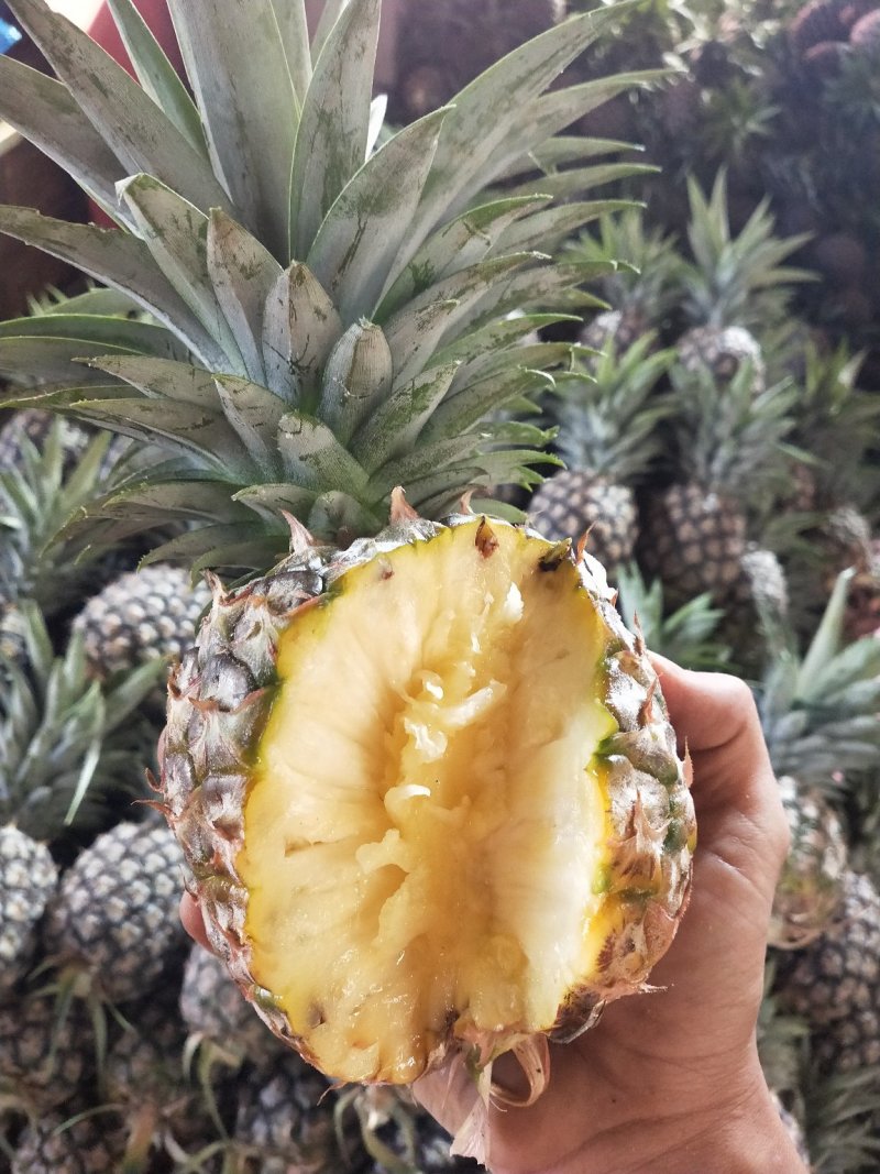 凤梨