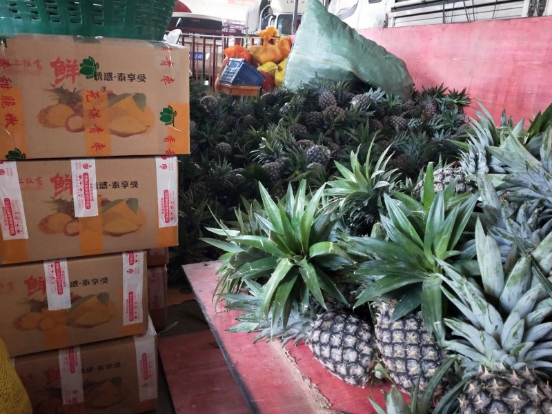 凤梨
