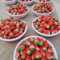 甜宝草莓大量上市口感好耐运输