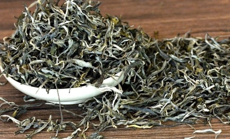 云南普洱茶古树茶生茶景迈古树茶普洱茶散茶