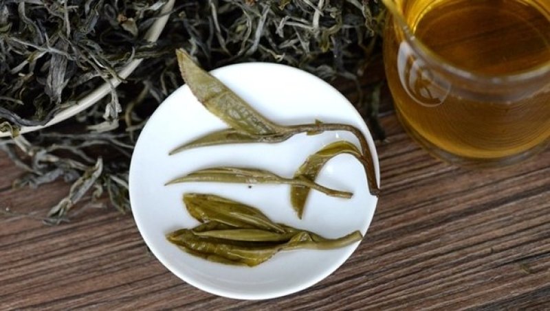 云南普洱茶古树茶生茶景迈古树茶普洱茶散茶