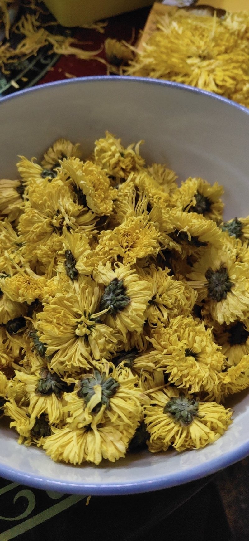婺源皇菊