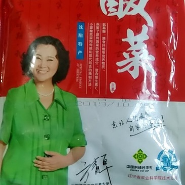 酸菜