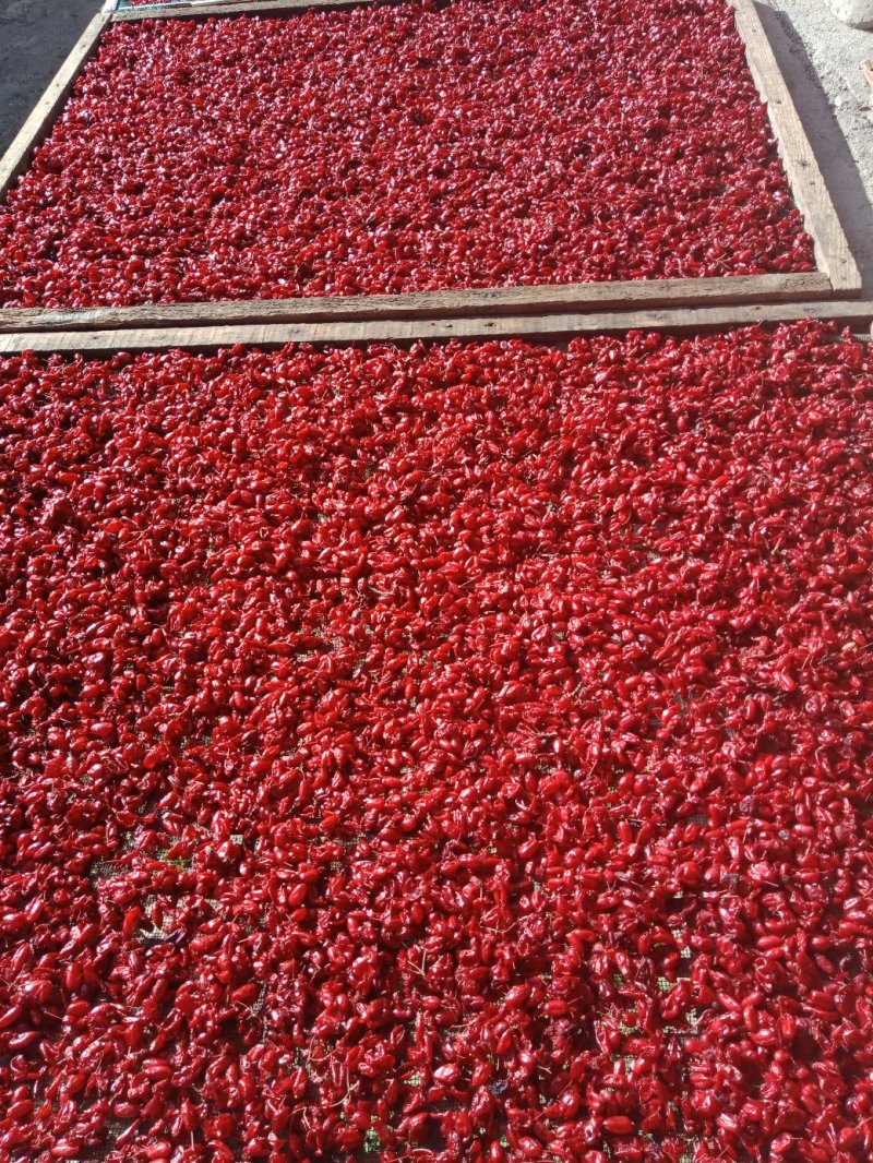 山芋肉，主产区自产自销